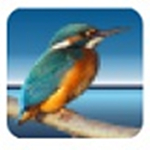 Highlight代码高亮神器